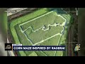 Amana Farms Beef Creates Corn Maze Inspired By RAGBRAI