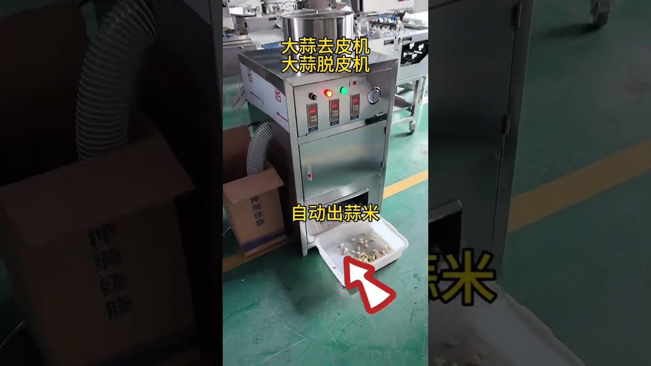 MNS-TP150 Garlic Clove Peeling Machine (WhatsApp:+86-13733892205)