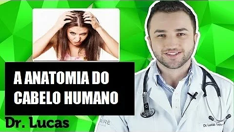 O que compõe o cabelo?