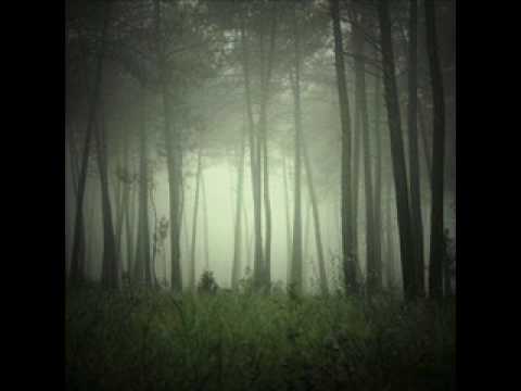 The Sight Below  -  Through The Gaps In Land