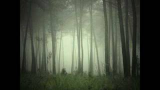 The Sight Below  -  Through The Gaps In Land