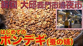한국어 日本語字幕 韓国の虫食べてみた 일본인의 번데기 도전 Youtube
