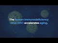 HIV-Tat protein-accelerated aging | Aging-US