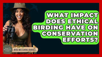 What Impact Does Ethical Birding Have On Conservation Efforts? - Bird Watching Diaries