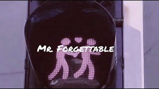 David Kushner - Mr. Forgettable (demo)