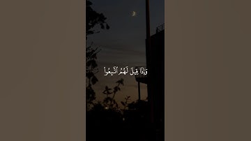 وَإِذَا قِيلَ لَهُمُ اتَّبِعُوا مَا أَنزَلَ اللَّهُ || سورة البقرة #علاء_عقل 🤍🌱