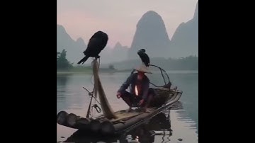 Avoid Working at 70 | Start Passive Income Today with WP CV Builder 🎣