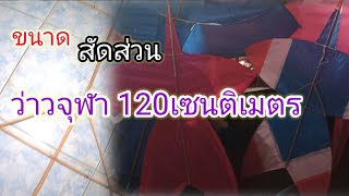 ขนาด สัดส่วน ว่าวจุฬา120เซนติเมตร ขึ้นแน่นอนล้าน%เปอร์เซ็น|อ้ายด้า