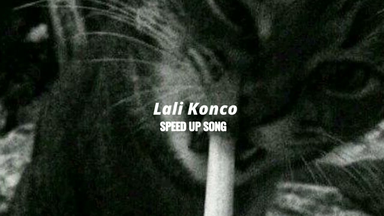 SPEED SONG || Lali Konco - DJ Tiktok