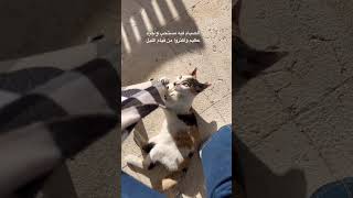 Naughty friend-during work lunch break #amman #jordan #explore