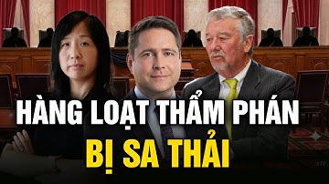 Hệ thống tòa án rung chuyển: Thẩm phán bật khóc khi nhận thông báo bị sa thải giữa phiên xét xử