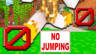 MINECRAFT But NO JUMPING