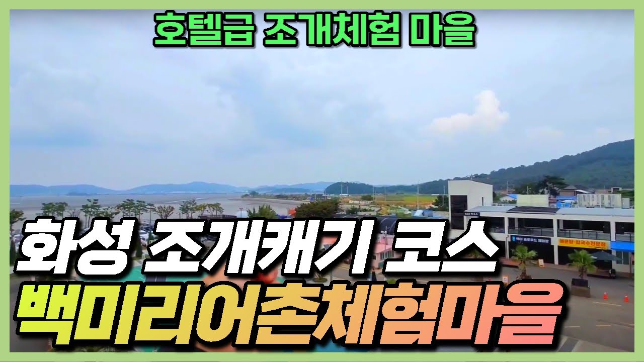 [화성여행] 호텔급 조개캐기 코스 (백미리어촌체험마을)