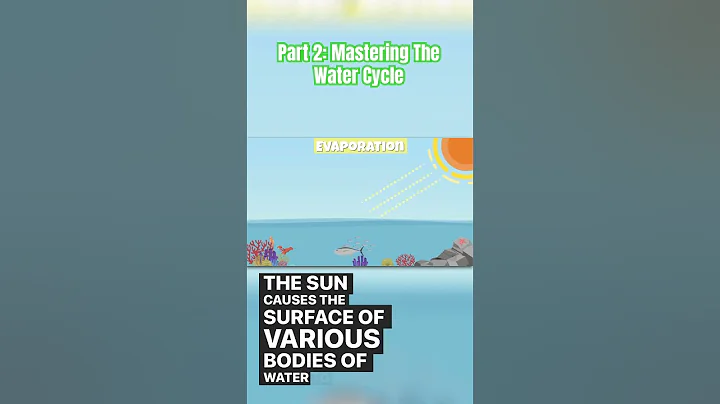 Part 2: Mastering the Water Cycle #WaterCycleBasics #condensation  #precipitation