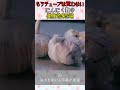 【もうチューブは買わない】にんにく麹の健康効果5選 #にんにく #麹 #麹レシピ