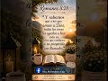 Versículo del día - Romanos 8:28 #diosmifortalezayguia #diosesmicasa #versículodeldía #palabradedios