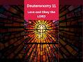 Deuteronomy 11-Love and Obey the LORD. #shorts  #bible #godsword