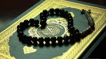 سورة التغابن  وديع اليمني