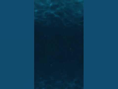 Underwater Whale Sounds | Sleep | Calming | Relaxing #whales #relaxing