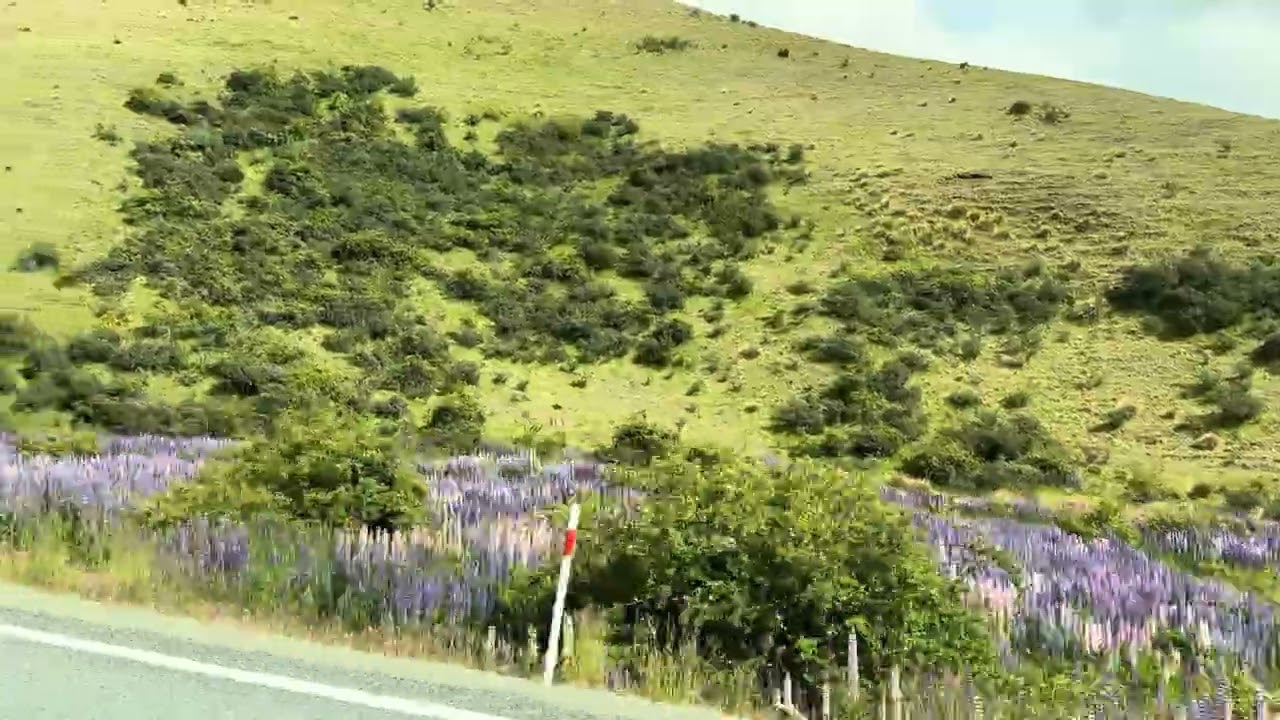 2080 Omarama-Lindis Pass Rd 9383 紐西蘭