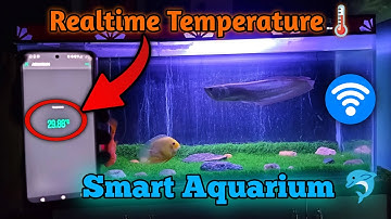 DIY Aquarium Temperature Monitoring System with Mobile | ESP32 & Blynk | Homemade Temperature Sensor