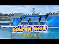 イルカショーat Kamogawa Sea World💦🐬🩵