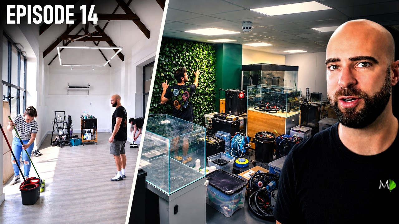 End of an Era... Start of a DYNASTY + Building Timmy Turtle's Tank! |EP14| Warehouse To Fish Studio