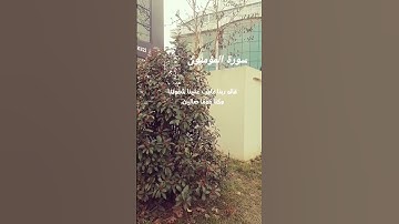 تلاوه #خاشعه# قرآن كريم سورة المؤمنون#اجر#لي #ولكم ماشاء الله