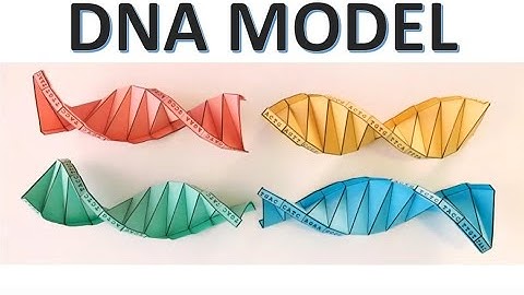 DNA MODEL: How to fold a double Helix?
