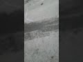 Aliyu Haidar Aliyu Haidar