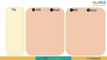 Câu hỏi đuôi - Tag question