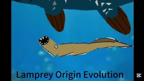 Lamprey Origin Evolution