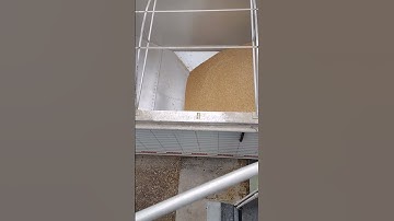 loading a hopper with wheat