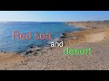 The beach of Red sea and desert.Abu Dabbab.Marsа Alam.Egypt