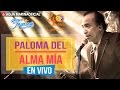 Agua Marina - Paloma del Alma Mía (En Vivo OFICIAL)