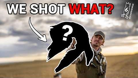 RARE BIRD DOWN! Epic Goose Hunting + Catch Clean Cook | #ROADSHOW25 HUNT 6