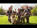 Trent Ford named Reveille’s new handler, mascot corporal