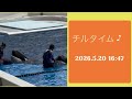 チルタイム♪ 2026.5.20 16:47