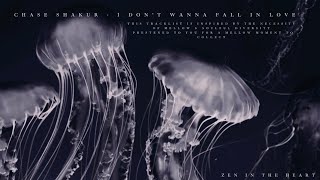 Chase Shakur - I Don’t Wanna Fall In Love Loop 🎧   Cenimatic Jellyfish Visual