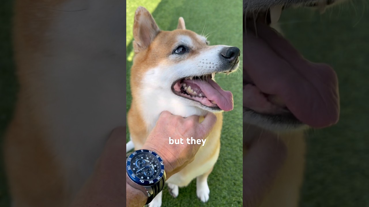 Origin story: kenny and jordi the 