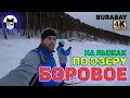 На лыжах по озеру "БОРОВОЕ"