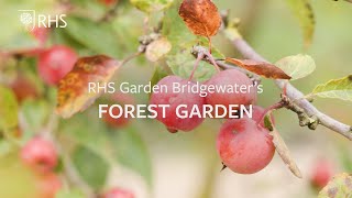 Download Lagu Permaculture and agroforestry in the Forest Garden at RHS Garden Bridgewater | The RHS MP3