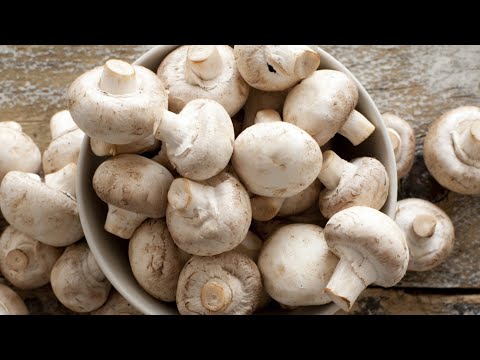 Video: Ciupercile shiitake se deteriorează?