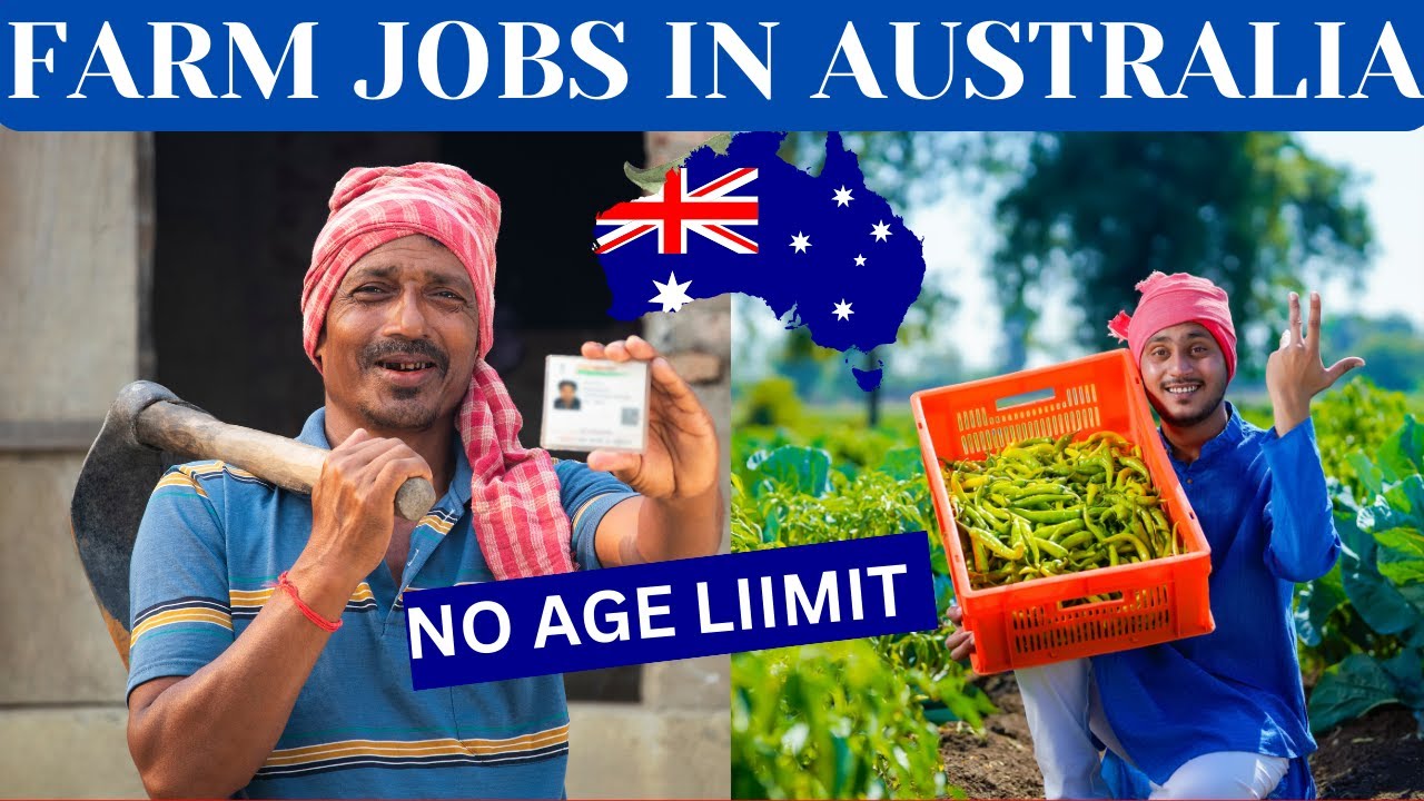 APPLY NOW Farm Jobs In Australia Visa Sponsorship Jobs 2024 Seasonal new-zealand-farm-work-jobs-free-visa-sponsorship-available-in-2023
