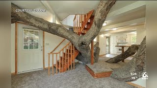 “Tree house” for sale in Pismo Beach
