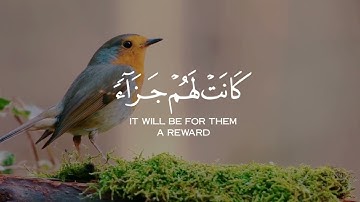 حالات واتس قرآن | قل أذالك خير أم جنة الخلد | تلاوة هادئة | من سورة الفرقان