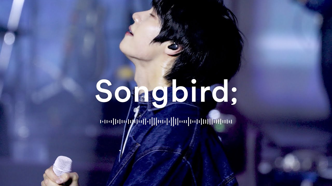 [4K][이승협 F.] 마음을 몇번이고 담고서 불러 | 260131 엔플라잉 ‘송버드 (Songbird)’