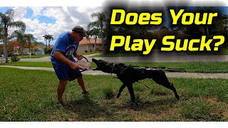 Do Dogs Want To Play With You?  Training Without Conflict