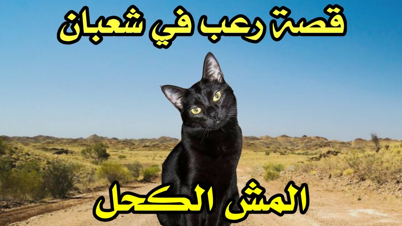 أخطر قصة واقعية مرعبة حدثت في المغرب 739# | قصص رعب بالدارجة | 9isas ro3b wa9i3iya