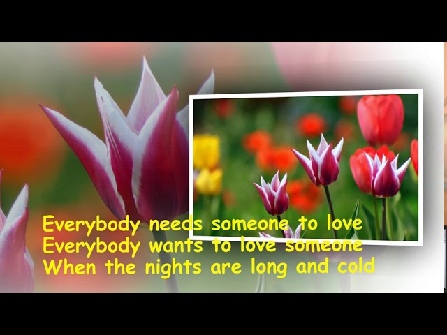 Nobody Wants To Be Alone by Crystal Gayle class=